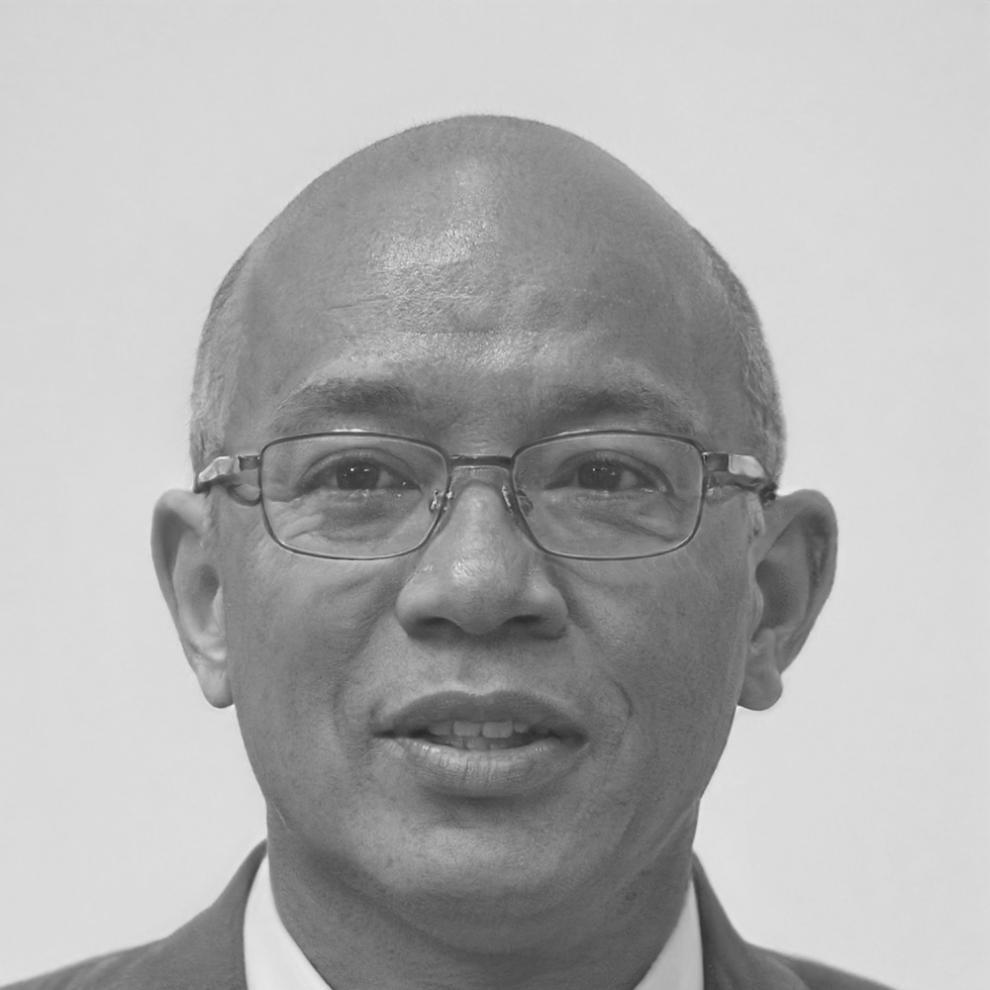 Ignacio Vega, Independent Consultant